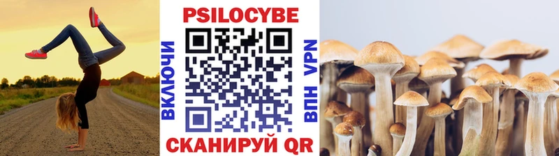 купить наркотик  Кисловодск  Псилоцибиновые грибы Psilocybe 