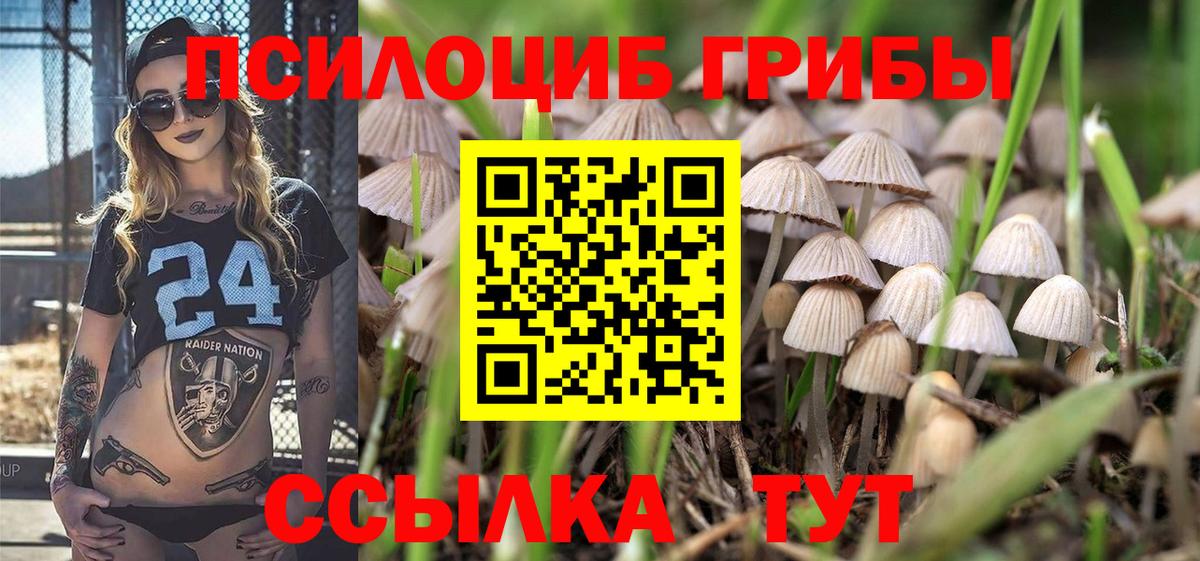 наркотики  Вход с VPN  Кисловодск  Псилоцибиновые грибы MAGIC MUSHROOMS  Псилоцибиновые грибы GOLDEN TEACHER 